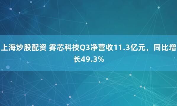上海炒股配资 雾芯科技Q3净营收11.3亿元，同比增长49.3%