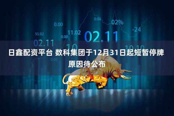 日鑫配资平台 数科集团于12月31日起短暂停牌 原因待公布